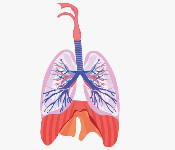 1649754190573328.png 1649754190573328.png